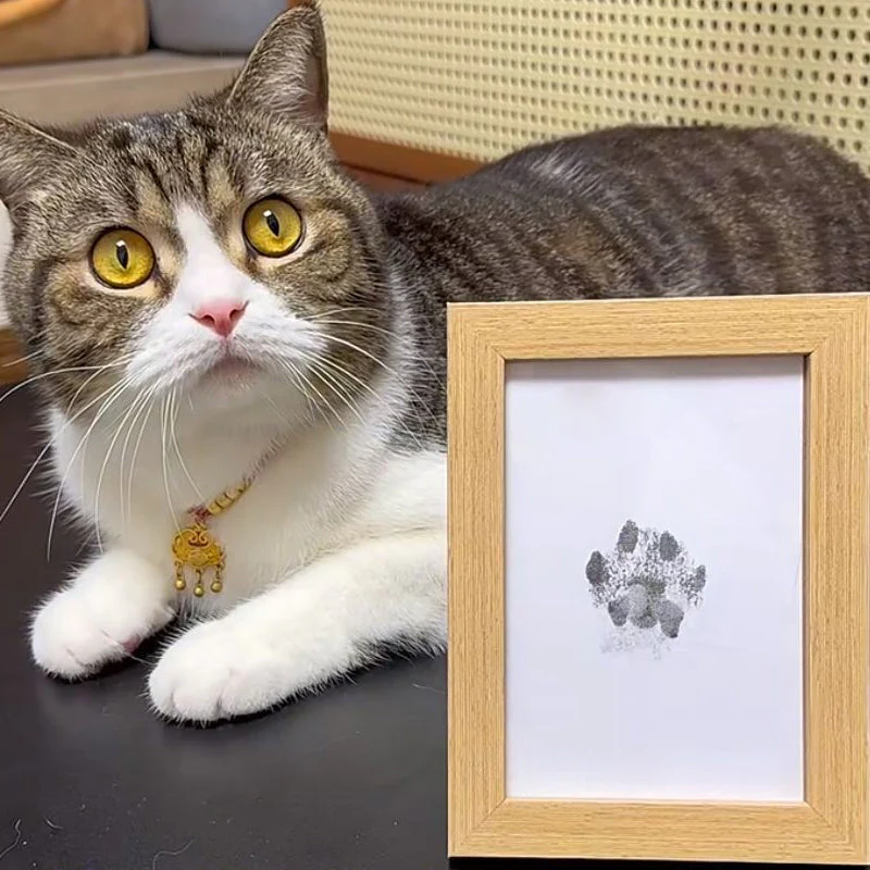 Pet Paw Printing Kit - Image 9