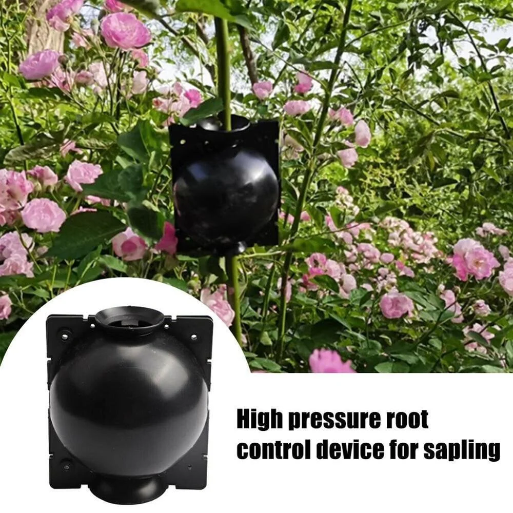 🌱Plant Root Growing Box - Image 3