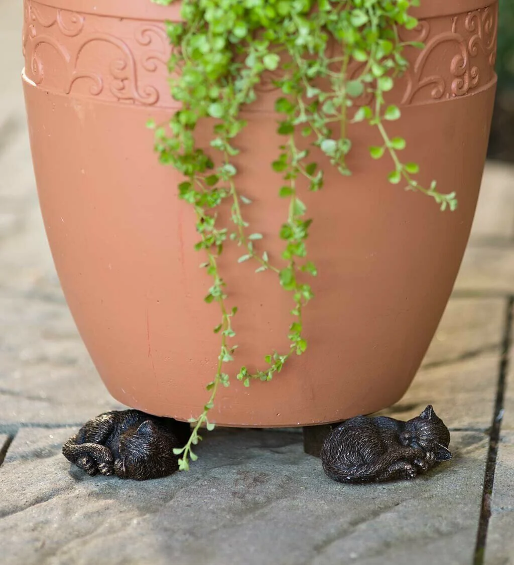 Potty Feet Plant Pot Feet - Image 5