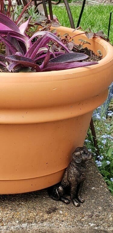 Potty Feet Plant Pot Feet - Image 8