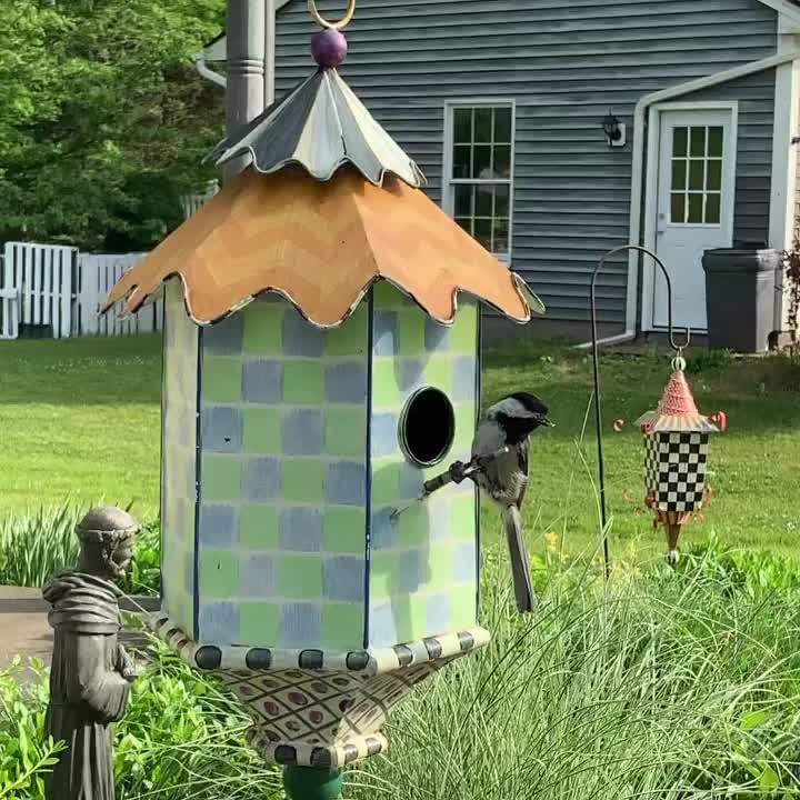 ✨Limited Time Sale - 50% Off🔥Pendant Bird Feeder - Image 17