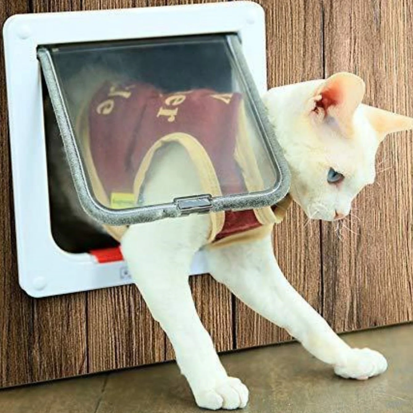 4 Way Security Lock Flap Door - Cat Flap Door for Interior Exterior Door - Image 2
