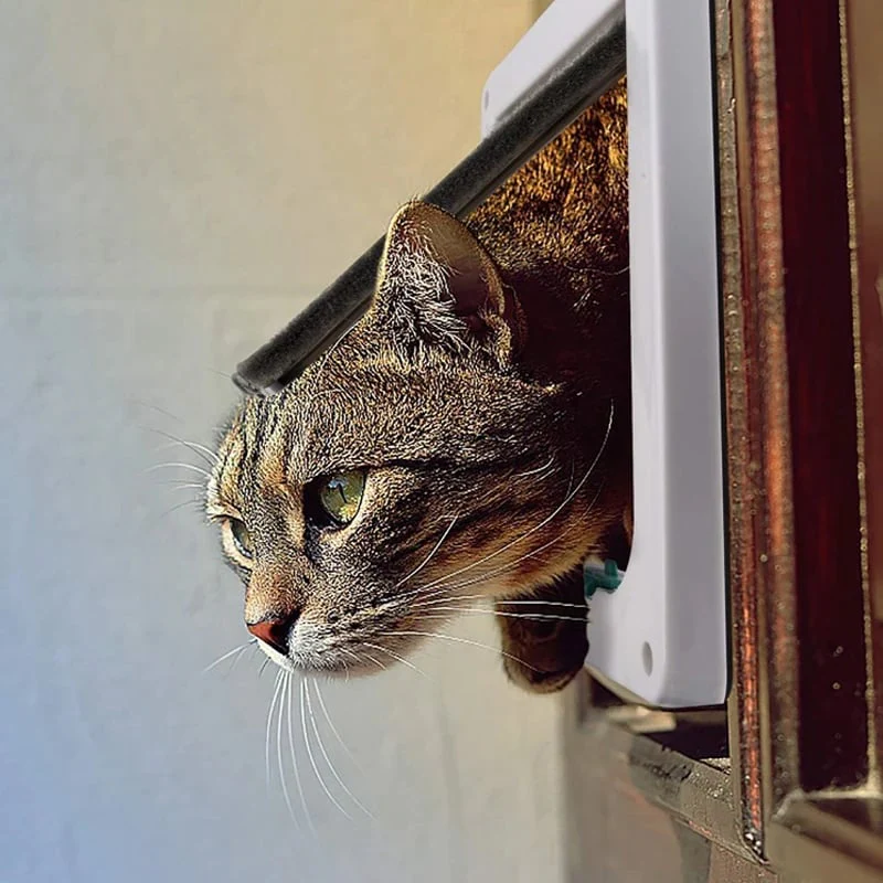 4 Way Security Lock Flap Door - Cat Flap Door for Interior Exterior Door - Image 3