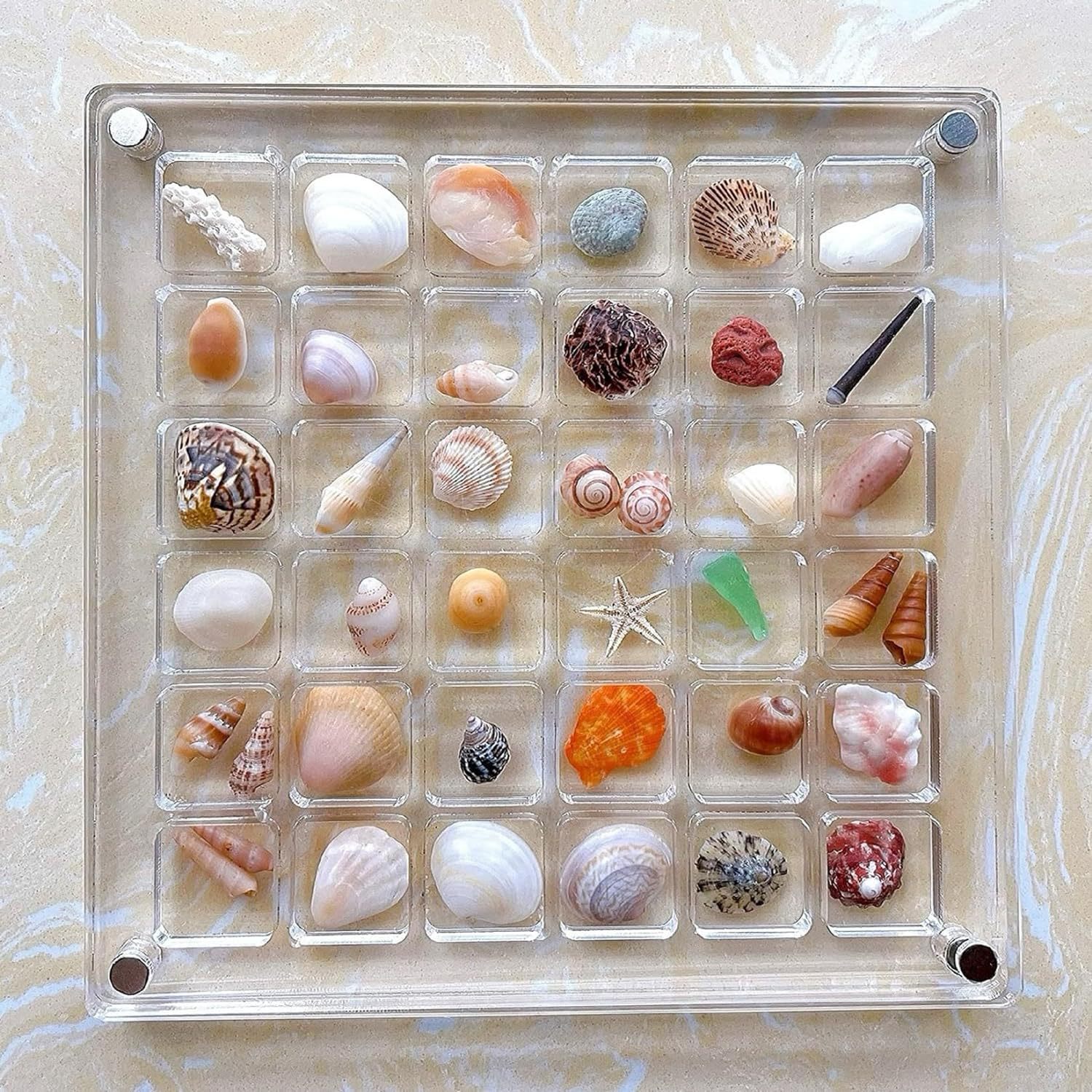 Acrylic Magnetic Seashell Storage Box - Image 10
