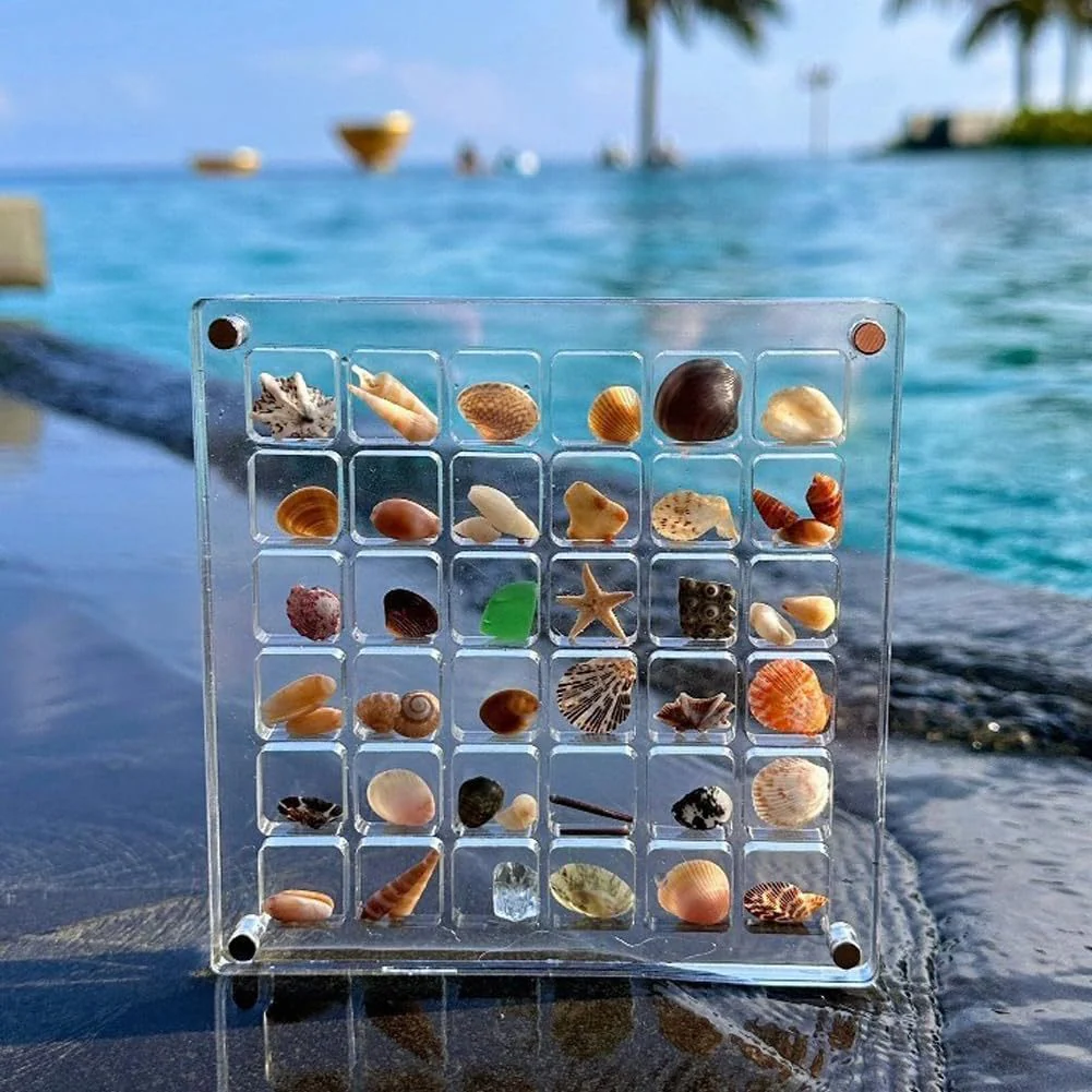 Acrylic Magnetic Seashell Storage Box - Image 11