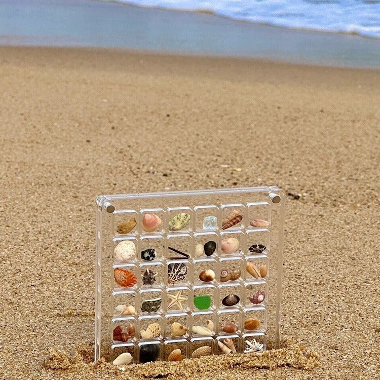 Acrylic Magnetic Seashell Storage Box - Image 12