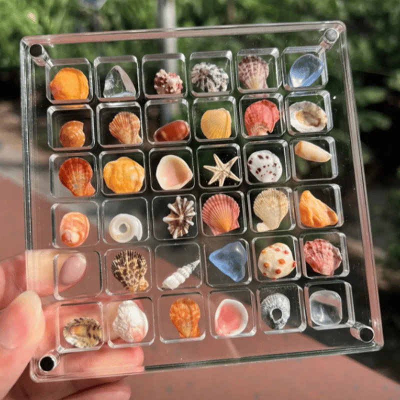 Acrylic Magnetic Seashell Storage Box - Image 2