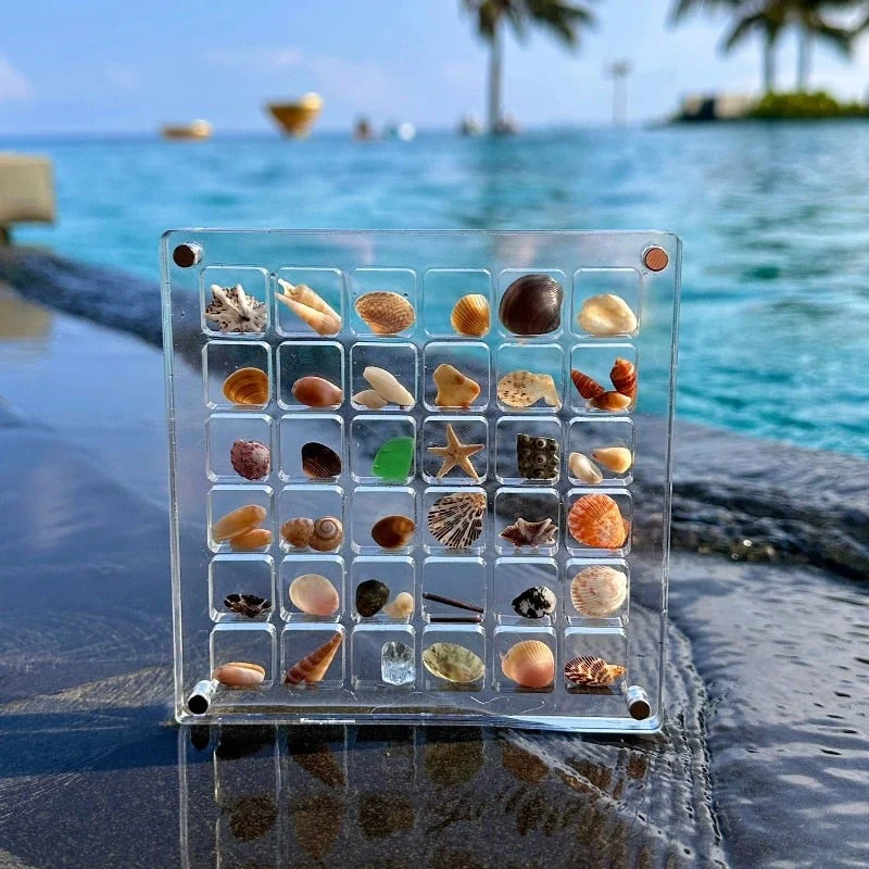 Acrylic Magnetic Seashell Storage Box - Image 3