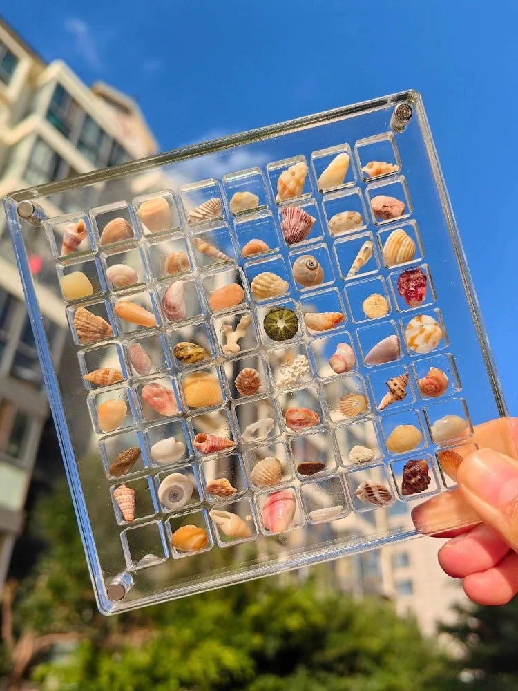 Acrylic Magnetic Seashell Storage Box - Image 4