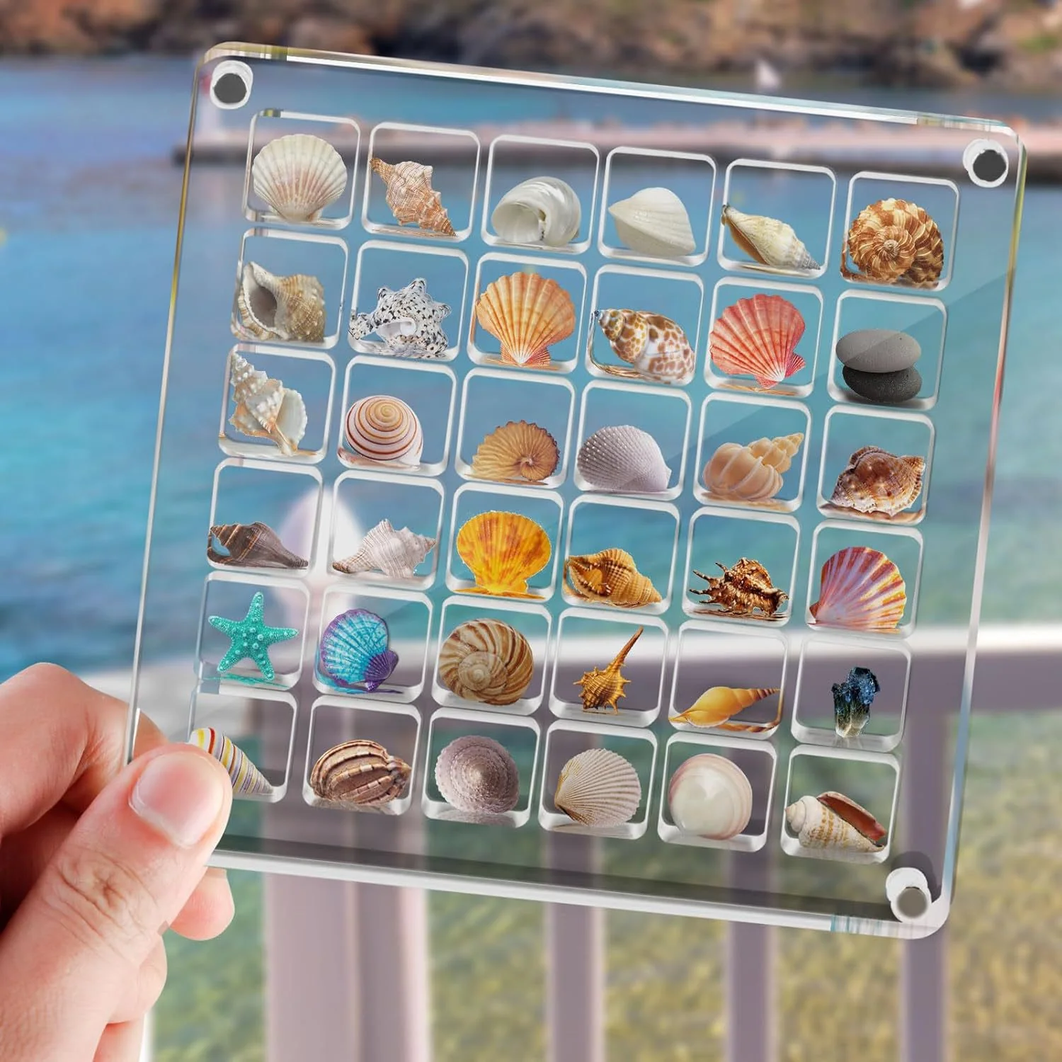 Acrylic Magnetic Seashell Storage Box - Image 8