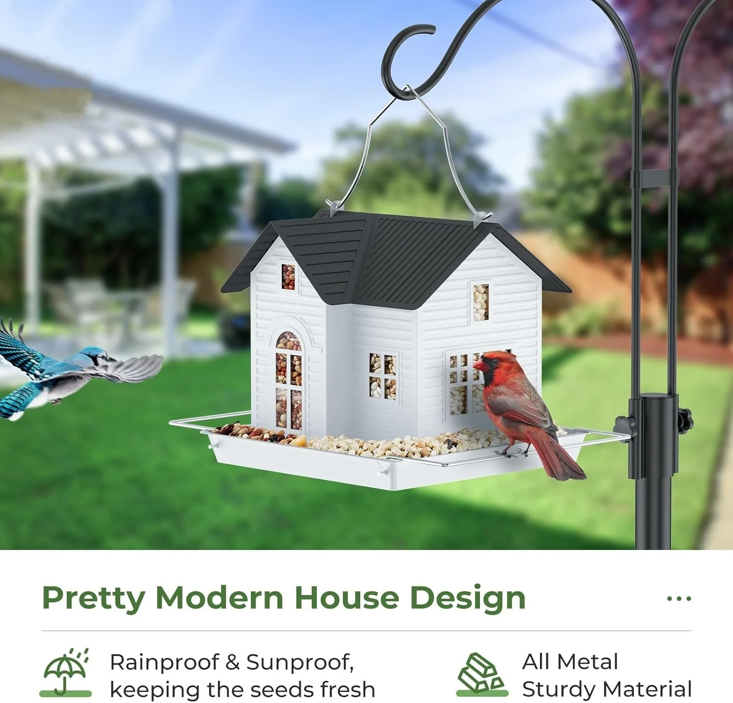 🔥Solar Bird Feeder - Image 4