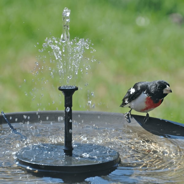 🔥BIG SALE 49% OFF🔥🔥Solar-Powered Fountain Kit - Image 2