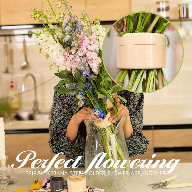 🎁Spiral Ikebana Stem Holder💐 - Image 4