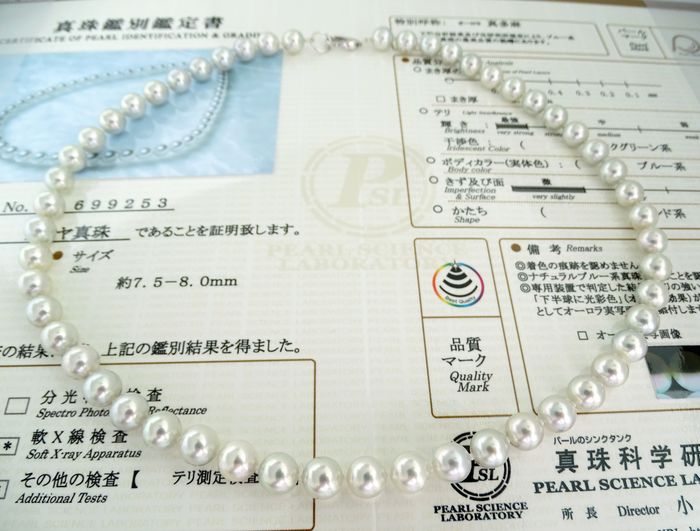 Temperament deep sea shell pearl necklace【Necklace + Bracelet + Earrings】 - Image 10