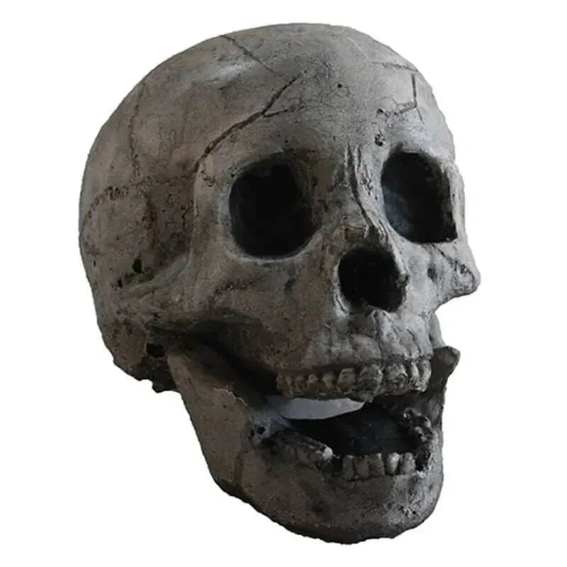 🔥Halloween Pre 🔥 Terrifying Human Skull Fire Pit💀 - Image 9