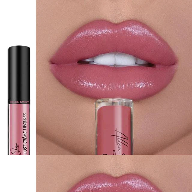 12 COLOR WATERPROOF LONG LASTING MOIST LIP GLOSS PLUMPER LIQUID LIPSTICK - Image 10