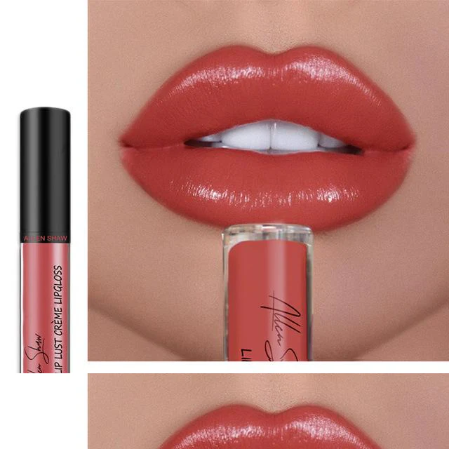 12 COLOR WATERPROOF LONG LASTING MOIST LIP GLOSS PLUMPER LIQUID LIPSTICK - Image 16