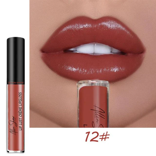 12 COLOR WATERPROOF LONG LASTING MOIST LIP GLOSS PLUMPER LIQUID LIPSTICK - Image 17