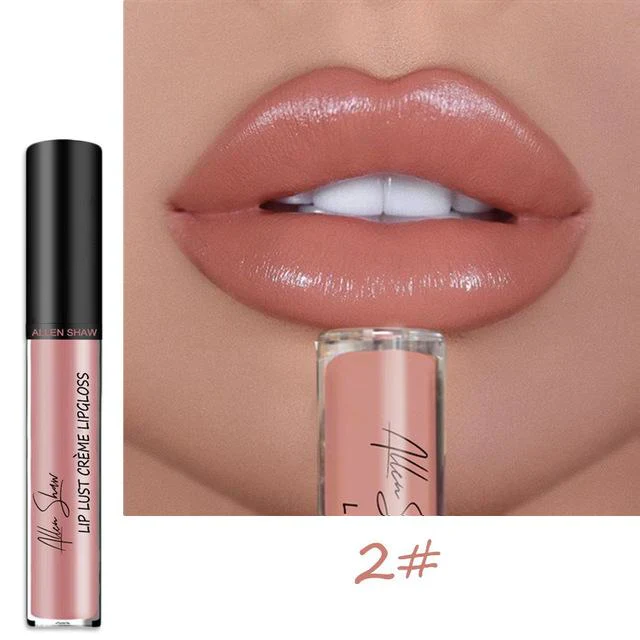 12 COLOR WATERPROOF LONG LASTING MOIST LIP GLOSS PLUMPER LIQUID LIPSTICK - Image 7