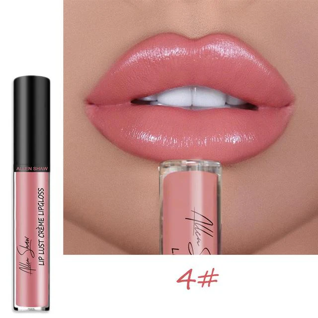 12 COLOR WATERPROOF LONG LASTING MOIST LIP GLOSS PLUMPER LIQUID LIPSTICK - Image 9