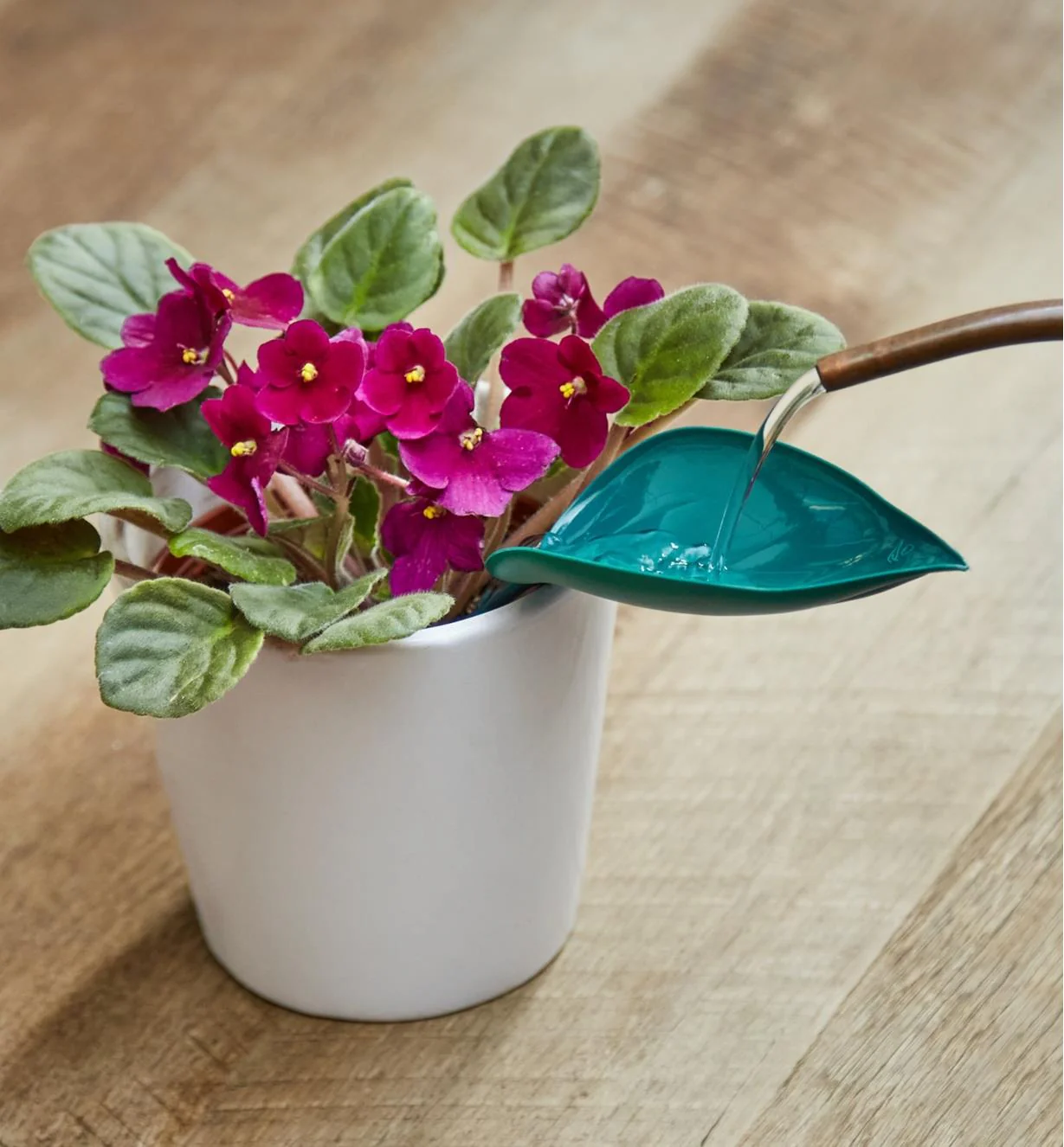 🔥Summer Hot Sale🔥Watering Leaves(BUY 5 GET 5 FREE) - Image 2