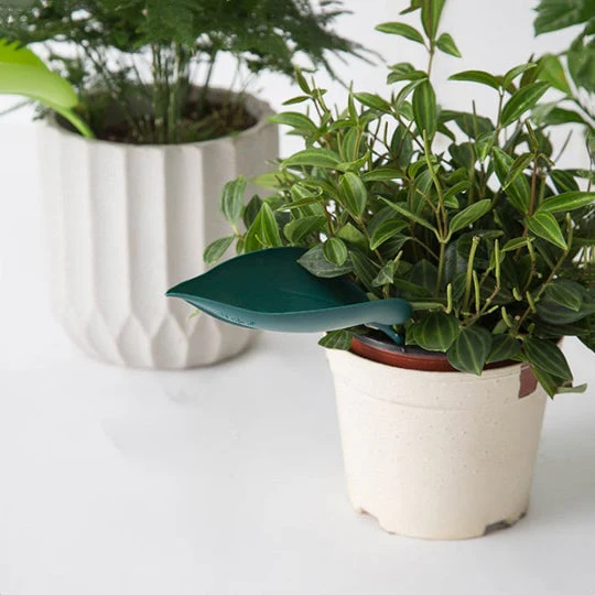 🔥Summer Hot Sale🔥Watering Leaves(BUY 5 GET 5 FREE) - Image 3