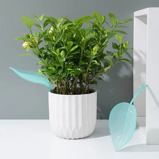 🔥Summer Hot Sale🔥Watering Leaves(BUY 5 GET 5 FREE) - Image 6